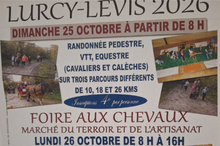 Foire aux chevaux